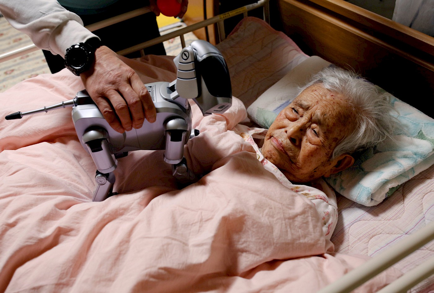 Le robot Aibo, dans une maison de retraite japonaise. [Source](https://www.japantimes.co.jp/news/2018/03/30/national/robots-making-inroads-japans-elder-care-facilities-costs-still-high/#.XM7LudHVIUE)