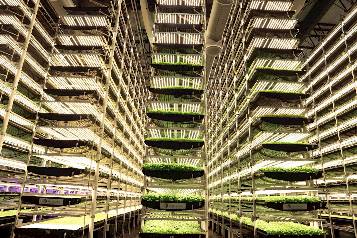 AeroFarms. [Source](https://aerofarms.com/2019/02/20/aerofarms-is-on-a-mission-to-grow-the-best-plants-possible-for-the-betterment-of-humanity/)