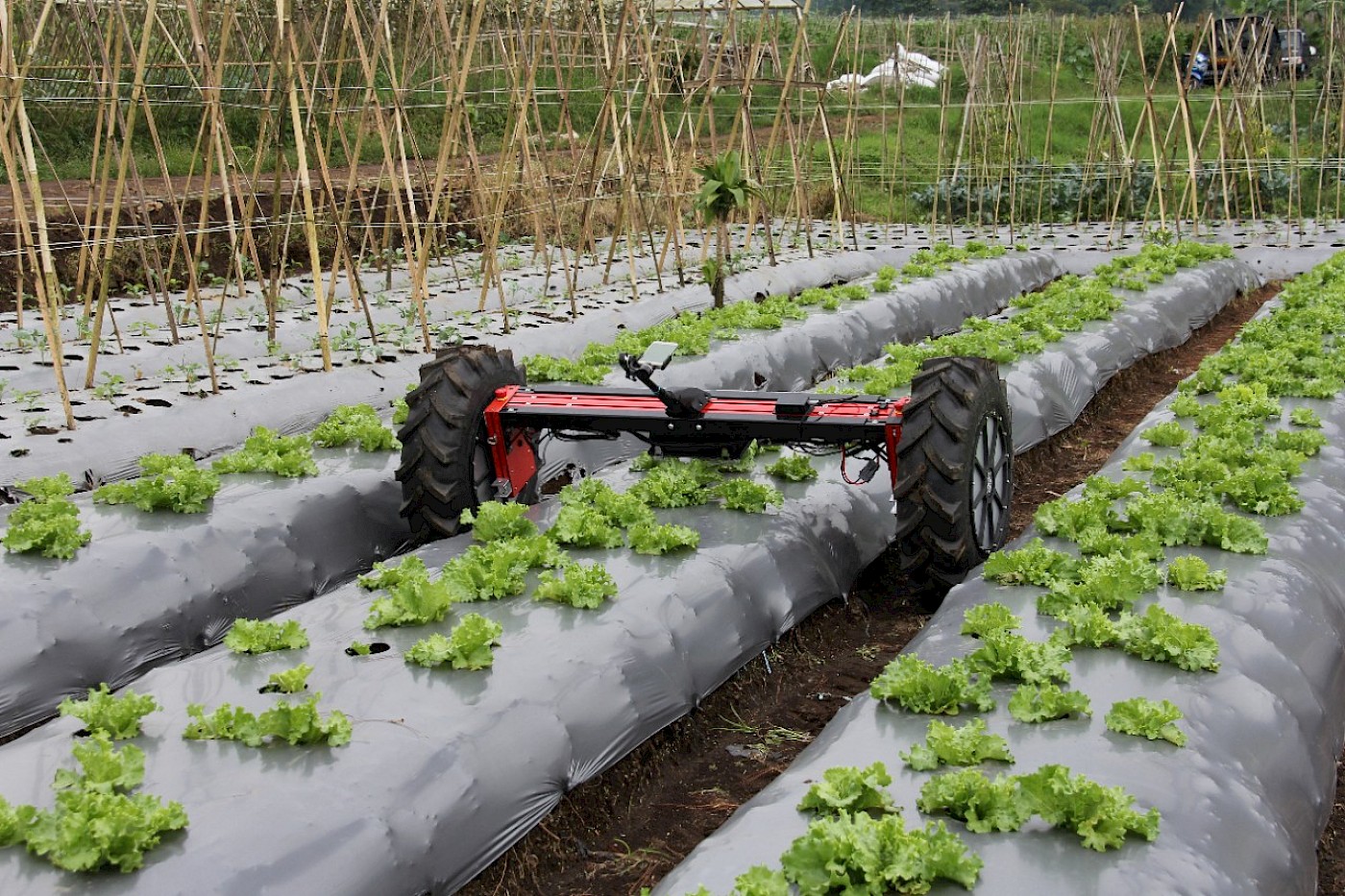 [Source](https://sydney.edu.au/engineering/news-and-events/2017/01/06/the-future-of-farming-agribots-leading-the-revolution.html)